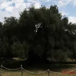 Σπίτι διακοπών La Casa Di Noemi